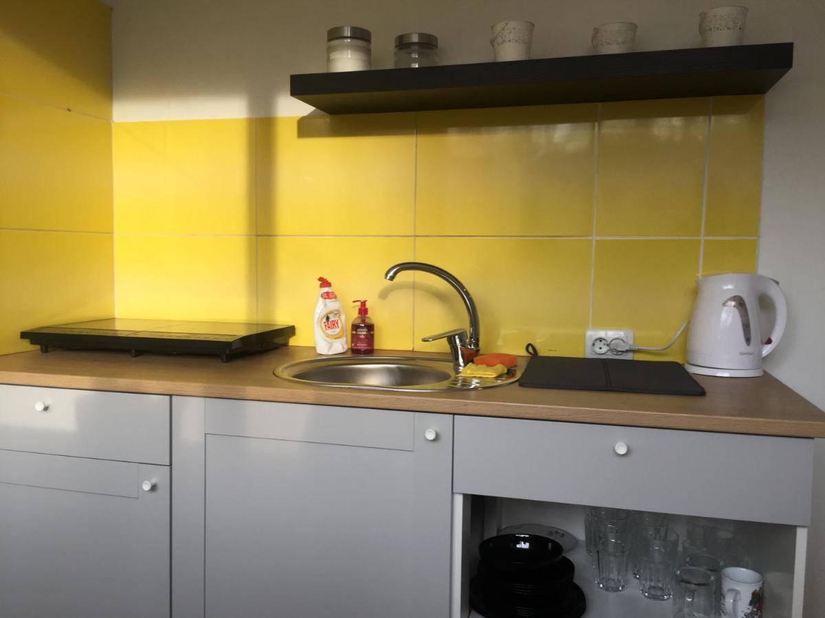 Apartamenti Zirnis แซซิส ภายนอก รูปภาพ